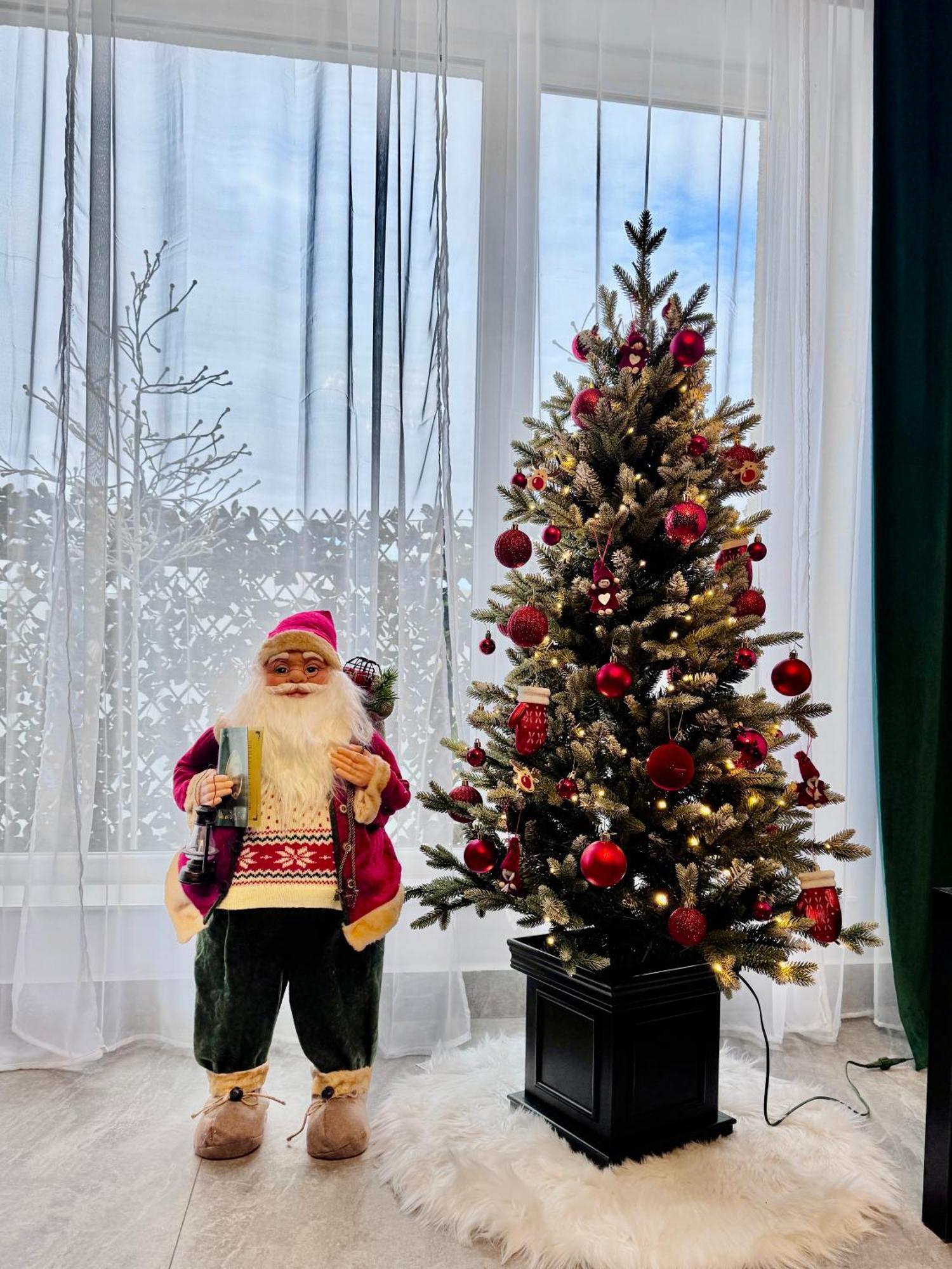 Aici Te Simti Ca Acasa Daire Yaş Dış mekan fotoğraf